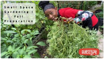 [ID: tFhj8MugUh0] Youtube Automatic