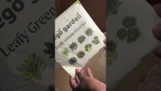 [ID: thByoMB1sB8] Youtube Automatic