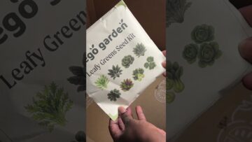 [ID: thByoMB1sB8] Youtube Automatic