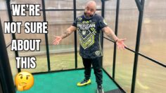 [ID: tHsqBGWGYRU] Youtube Automatic