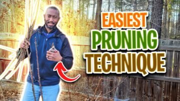 [ID: tJaAFq4IXRg] Youtube Automatic