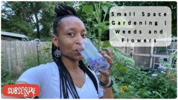 [ID: TlxFln407kc] Youtube Automatic