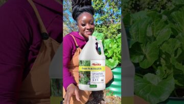 [ID: tmCIdBEpRJk] Youtube Automatic