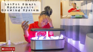 [ID: to082naQOFA] Youtube Automatic