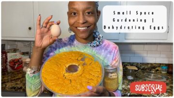 [ID: Tp7IMalKxIE] Youtube Automatic