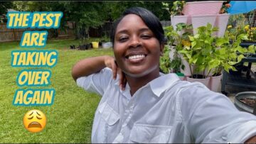 [ID: tQoBUTIO5Yg] Youtube Automatic