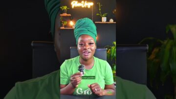 [ID: tVgv0-a0qYY] Youtube Automatic