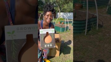 [ID: tXvsWFPhLOY] Youtube Automatic