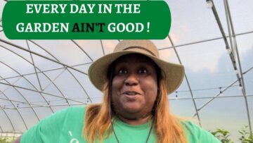 [ID: U-2ooq5frW4] Youtube Automatic