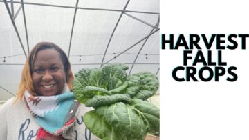 [ID: u0j5Z6_CUZc] Youtube Automatic