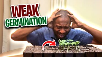 [ID: U1fQa0jBznE] Youtube Automatic