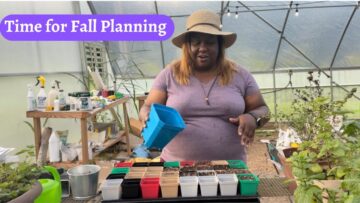 [ID: u5W2FN77nnw] Youtube Automatic