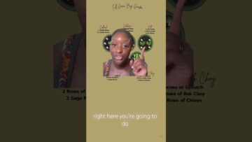 [ID: u8XfYTHbkIE] Youtube Automatic