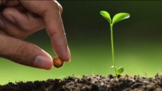 [ID: ub00KIAAp84] Youtube Automatic