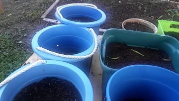 [ID: uDxNPhPwXZ4] Youtube Automatic