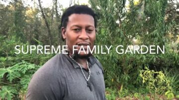 [ID: UHv0tDr3Q5Q] Youtube Automatic