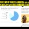 The Top 10 Percent of White America has ALL the WEALTH. It is not just about the Billionaire class.