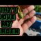 Why I Love My Garden/ #MIG / Garden Community
