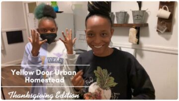 [ID: ujE-d6pdNJQ] Youtube Automatic