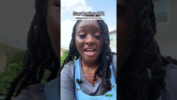 [ID: uL9CkfShx8k] Youtube Automatic