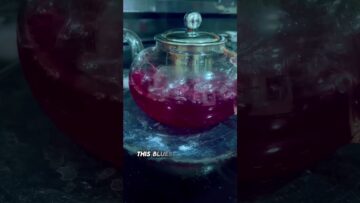 [ID: UmPZus-HaXo] Youtube Automatic