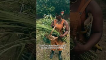 [ID: uN43EfLCDvM] Youtube Automatic