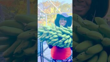 [ID: Uv_hKPA3_4I] Youtube Automatic