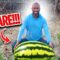 6 Common Watermelon Growing Mistakes