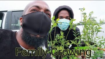 [ID: UWzFB8bHtkY] Youtube Automatic