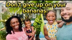 [ID: UyWmPHzbTDw] Youtube Automatic