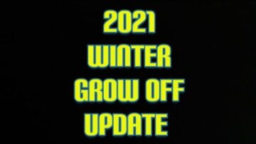 [ID: V-S_kxL4lQw] Youtube Automatic