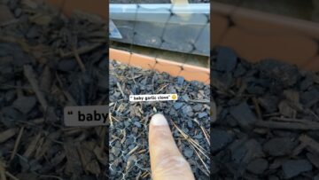 [ID: v32cjbuRVeI] Youtube Automatic