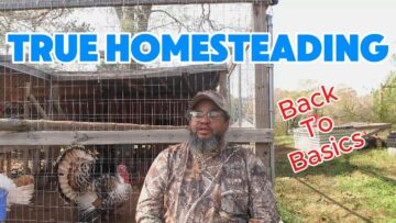 [ID: v6h49-FpYps] Youtube Automatic