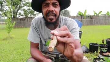 [ID: V8UtzO2OCgM] Youtube Automatic