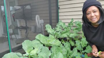 [ID: VA9G-VYqp5c] Youtube Automatic