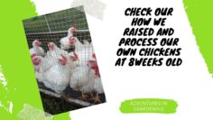 [ID: vaH8WwaqoAI] Youtube Automatic