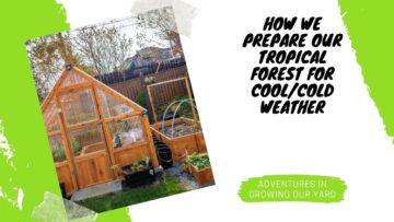 [ID: vaLQMM4gVxA] Youtube Automatic