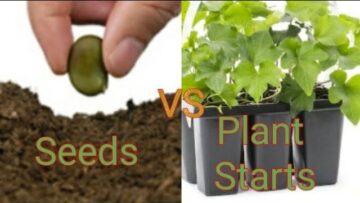 [ID: VEEbJAeQtLI] Youtube Automatic