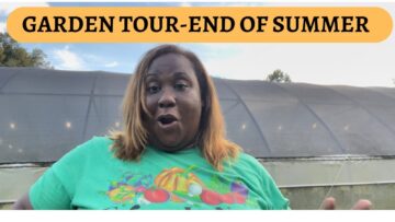 [ID: VFGBtjPFQuM] Youtube Automatic