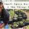 Small Space Gardening | What I Use In My Garden | Somewhat Economically