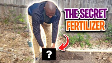 [ID: vGKb7oIEgXI] Youtube Automatic