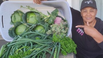 [ID: vGvIziVxZjo] Youtube Automatic