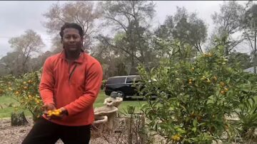 [ID: VgXh2GTqYbE] Youtube Automatic