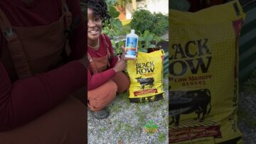 [ID: VLJsiBNNzXE] Youtube Automatic