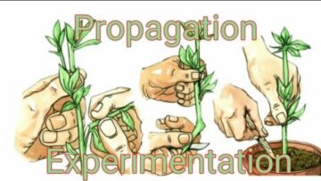 [ID: vLze8k359AY] Youtube Automatic