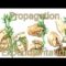 Propagation Experimentation/Harvest