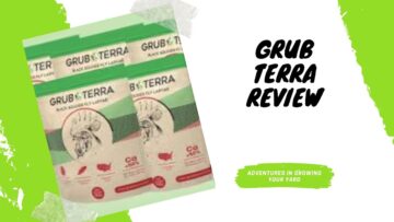 [ID: vrDidP2Tk0c] Youtube Automatic