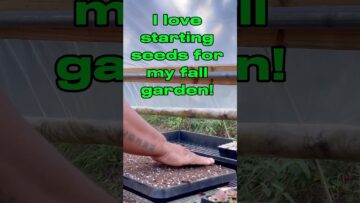 [ID: vsLSZ34xKGs] Youtube Automatic