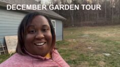 [ID: vSvw3dIlTr0] Youtube Automatic