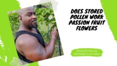 [ID: vTAlUflpuZI] Youtube Automatic